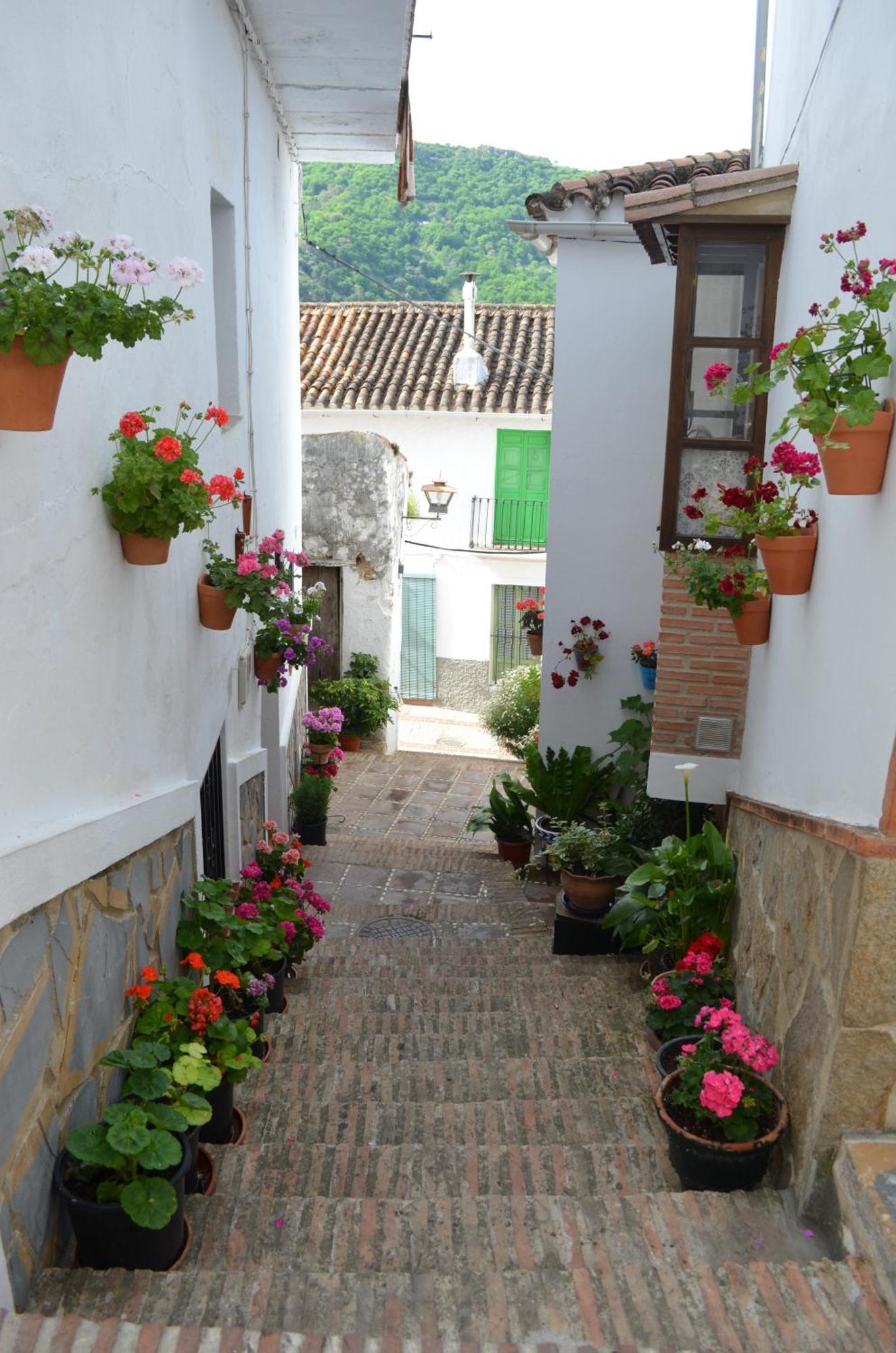 Finca El Molino De Aceite Jubrique Exterior foto